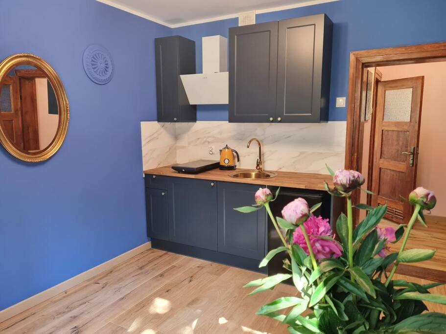 Apartament Kraszewskiego - Retro, Blisko Starowki, Kolo Parku, Ogrod Dla Gosci, Rowery Free Stary Toruń Εξωτερικό φωτογραφία